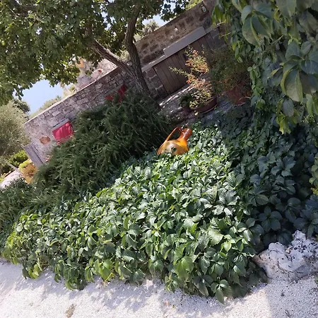 Trullo Gio Cisternino